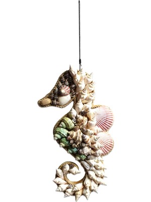 Renkli Denizatı Dekoratif Duvar Objesi, Deniz Kabuğu Temalı, Şık ve Canlı Tasarım