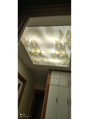 Renkli ve Şık Salon Gergi Tavan Modelleri, Modern ve Estetik Tasarımlar