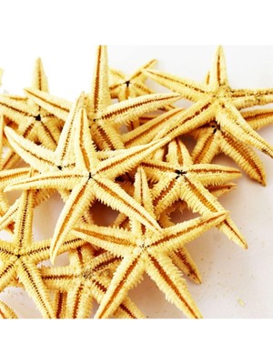 Pembe Deniz Yıldızı 7,5-9,5 Cm, 10'lu Paket, Dekoratif Süsler