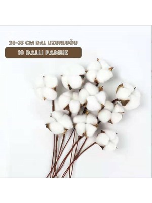 Beyaz Yapay Pamuk Dalları, 10'lu Set, Doğal Görünüm, Dekoratif Süsleme Malzemesi