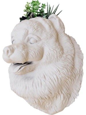 Beyaz Pomeranian Tasarımlı Duvar Saksısı, Şık ve Dekoratif Ev Aksesuarı