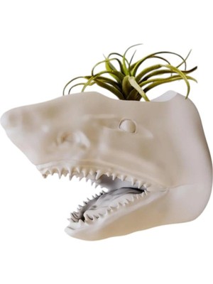 Beyaz Köpekbalığı Kafası Tasarımlı Dekoratif Saksı, Şık ve Modern Ev Dekoru Için Ideal