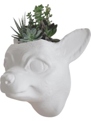 Beyaz Chihuahua Şivava Başlı Duvar Saksısı, Şık ve Dekoratif Ev Aksesuarı