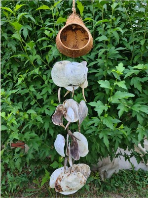 Pembe Hindistan Cevizi Deniz Kabuklu Kuş Evi Sarkaç Dekorasyon