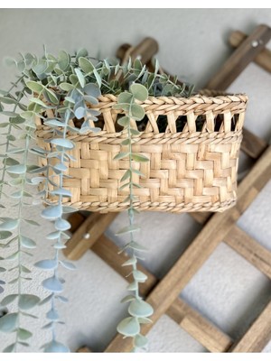 Bej Hasır Duvar Dekoru Çok Amaçlı Sepet 30 Cm, Saksılık ve Askı Için Dekoratif Seçenek
