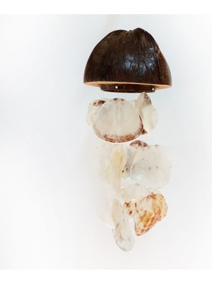 Pembe Ham Coco Placuna Sarkaç, Şık ve Doğal Dekoratif Obje