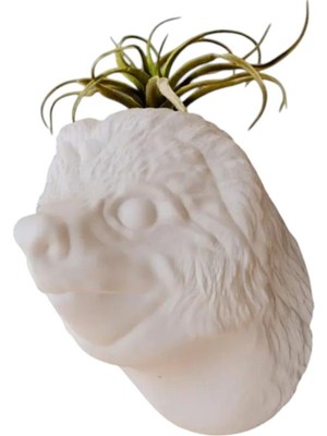 Sevimli Hayvan Kafası Tasarımlı Dekoratif Saksı, Şık ve Modern Ev Dekoru Için Ideal