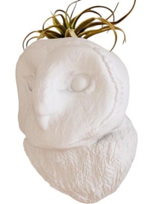 Beyaz Baykuş Kafası Tasarımlı Dekoratif Duvar Saksısı