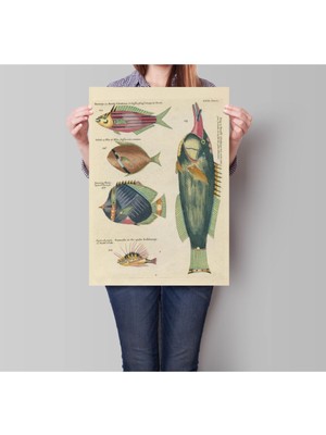 Sanatsal Balıklar Duvar Posteri 60X90CM Bej Renkli Dekorasyon Parçası