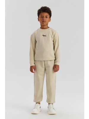 Bg Store Erkek Çocuk Bej Sweatshirt