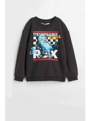 Erkek Çocuk Pul Nakşlı Dinazor Desenli Şardonlu Sweatshirt