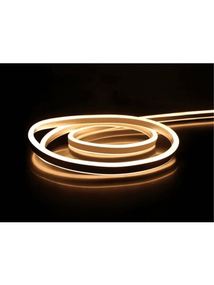 5 Metre Çok Renkli Dış Mekan 12V Neon LED Hortum Işık Seti