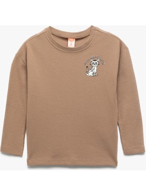 Koton Pamuklu Uzun Kollu Kedi Işlemeli Tişört Erkek Çocuk Günlük Tarz Kahve Renk