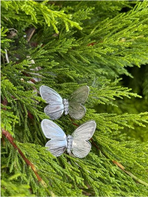 Gümüş Renk Kelebek Figürlü Taş Detaylı Küpe – 1 Çift