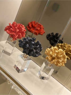 Parlak Siyah Kristal Mercan Takı, Şık ve Zarif Hediye Seçeneği