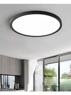 24W Antrasit Renkli Büyük Boy Tavan Lambası, Beyaz Işık, Modern Tasarım