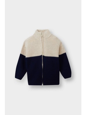 DeFacto Renk Bloklu Dik Yaka Fermuarlı Triko Hırka Erkek Bebek F2350A525AU