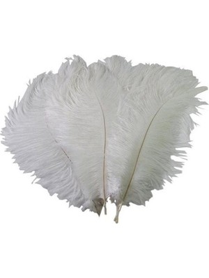 Beyaz Dekoratif Deve Kuşu Tüyü Vazo, 30-35 Cm, Şık ve Doğal Görünüm