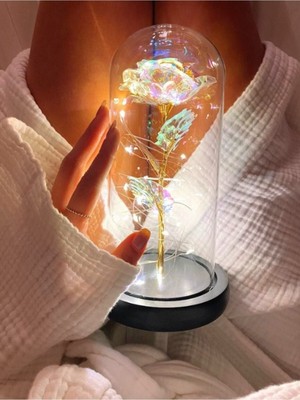 Özel LED Işıklı Fanuslu Solmayan Gül, Anneler Günü Için Seçenek