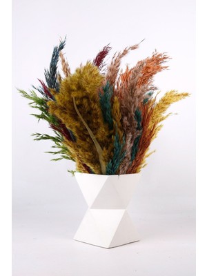 Beyaz Beton Saksıda Pampas Kuru Çiçek Dekoratif Renkli Yapay Şoklanmış
