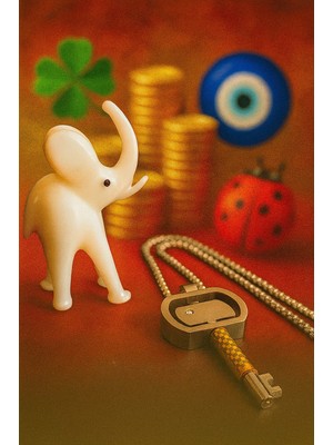 Başlangıçların, Fırsatların ve Şansın Sembolü Gümüş  ve Altın Renk Seçenekli  Anahtar Kolye