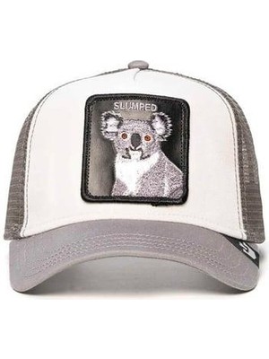 Goorin Bros The Slumped Koala  Şapka-101-1674