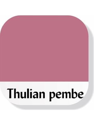 Piktura Akrilik Multisurface Boya 350ML Thulian Pembe