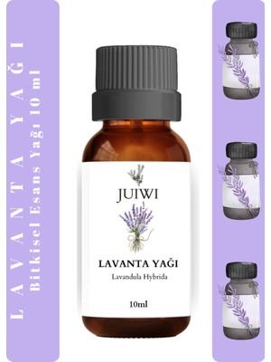 JUIWI Bitkisel Uçucu Koku Yağı Difüzör Esansı Buhurdanlık Yağı Lavanta Uçucu Yağı 10 ml