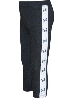 Antrasit Kız Çocuk Şardonlu Yanda Panda Baskılı Tayt