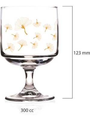 6'lı Dondurmalık ve Bardağı Seti, Beyaz, Şık ve Kullanışlı, Ev ve Ofis Için Ideal