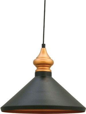 Modern Siyah Sarkıt Avize, Salon ve Antre Için Şık Dekoratif Lamba