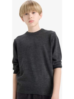 DeFacto Bisiklet Yaka Triko Kazak Erkek Çocuk A4992A825WN