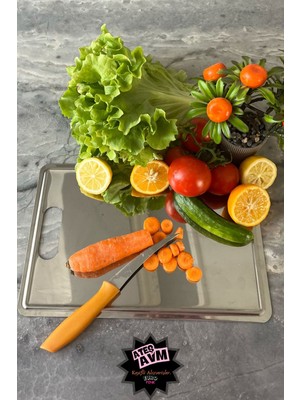 Renkli Paslanmaz Çelik Antibakteriyel Kesme Tahtası, Üst Düzey Kalite