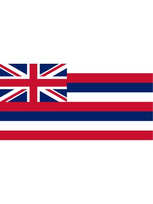 Havai Adaları Ülke Bayrağı 45X22CM Duvar Tablosu Çerçevesiz Pvc Tablo