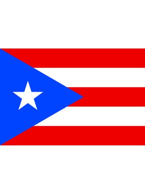 Porto Riko Ülke Bayrağı 45X30CM Duvar Tablosu Çerçevesiz Pvc Tablo