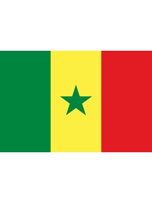 Senegal Ülke Bayrağı 45X30CM Duvar Tablosu Çerçevesiz Pvc Tablo