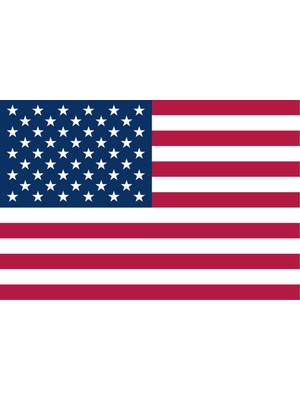 Amerika Ülke Bayrağı 45X30CM Duvar Tablosu Çerçevesiz Pvc Tablo