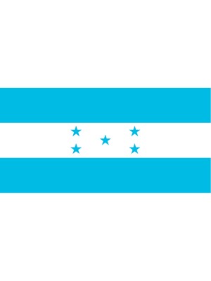 Honduras Ülke Bayrağı 45X22CM Duvar Tablosu Çerçevesiz Pvc Tablo