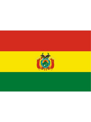 Bolivya Ülke Bayrağı 45X30CM Duvar Tablosu Çerçevesiz Pvc Tablo