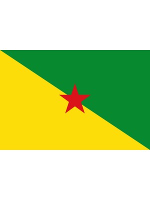 Fransız Guyanası Ülke Bayrağı 45X30CM Duvar Tablosu Çerçevesiz Pvc Tablo