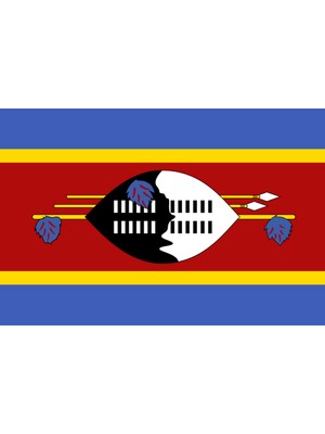 Svaziland Ülke Bayrağı 45X30CM Duvar Tablosu Çerçevesiz Pvc Tablo