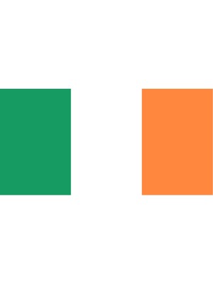 Irlanda Ülke Bayrağı 45X22CM Duvar Tablosu Çerçevesiz Pvc Tablo