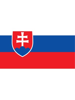 Slovakya Ülke Bayrağı 45X30CM Duvar Tablosu Çerçevesiz Pvc Tablo