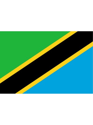 Tanzanya Ülke Bayrağı 45X30CM Duvar Tablosu Çerçevesiz Pvc Tablo