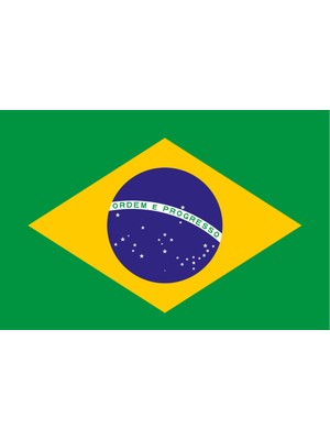Brezilya Ülke Bayrağı 45X30CM Duvar Tablosu Çerçevesiz Pvc Tablo