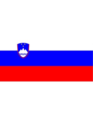 Slovenya Ülke Bayrağı 45X22CM Duvar Tablosu Çerçevesiz Pvc Tablo