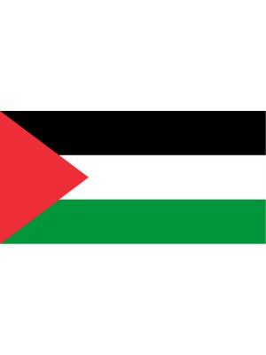 Filistin Ülke Bayrağı 45X22CM Duvar Tablosu Çerçevesiz Pvc Tablo