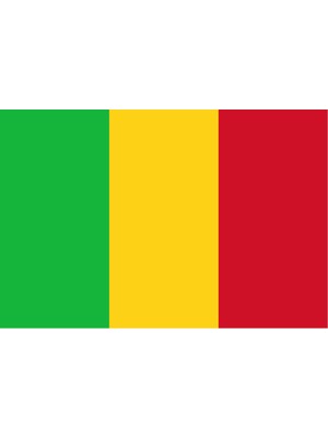 Mali Ülke Bayrağı 45X30CM Duvar Tablosu Çerçevesiz Pvc Tablo