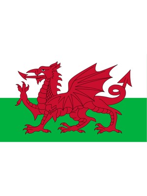 Galler Ülke Bayrağı 45X27CM Duvar Tablosu Çerçevesiz Pvc Tablo