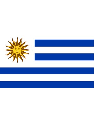 Uruguay Ülke Bayrağı 45X30CM Duvar Tablosu Çerçevesiz Pvc Tablo